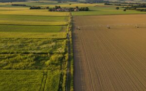 Champs agricoles à la frontière franco-espagnole illustrant les enjeux du glyphosate.